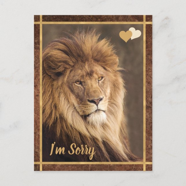 Lion I'm Sorry Postcard (Front)