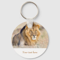 Lion in Africa wildlife Big Cat personalised text