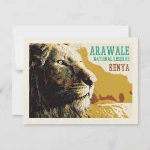 Lion in Arawale National Reserve, Kenya Postcard