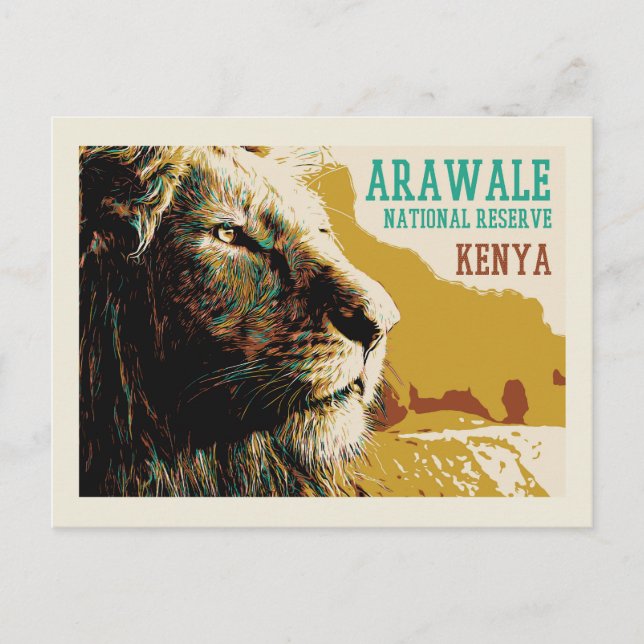 Lion in Arawale National Reserve, Kenya Postcard (Front)