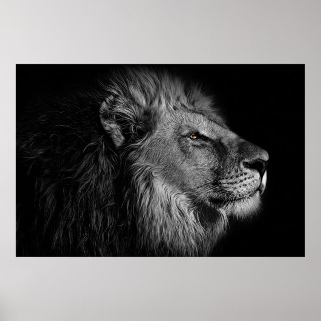 Lion in black and white poster (Front)
