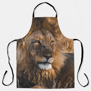 LION IN ETOSHA NATIONAL PARK APRON