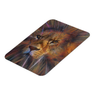 Lion in the Gallery Flexible Photo Magnet
