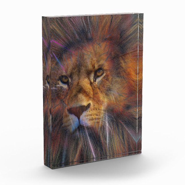 Lion in the Gallery Photo Block (Left)