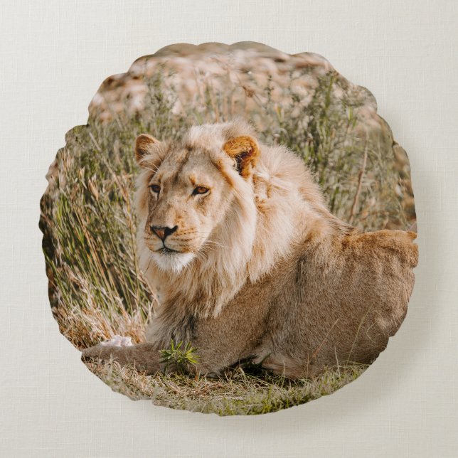 LION IN THE GRASS ROUND CUSHION (Front)