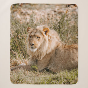 LION IN THE GRASS SHERPA BLANKET