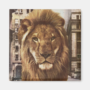 lion in town magnet