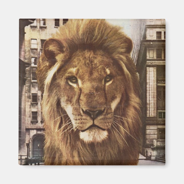 lion in town magnet (Front)