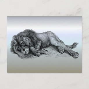 Lion in Vector Mode Postcard