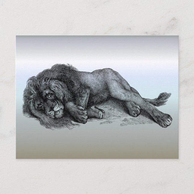 Lion in Vector Mode Postcard (Front)