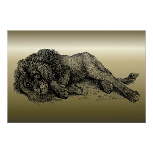 Lion in Vector Mode Poster (Front)