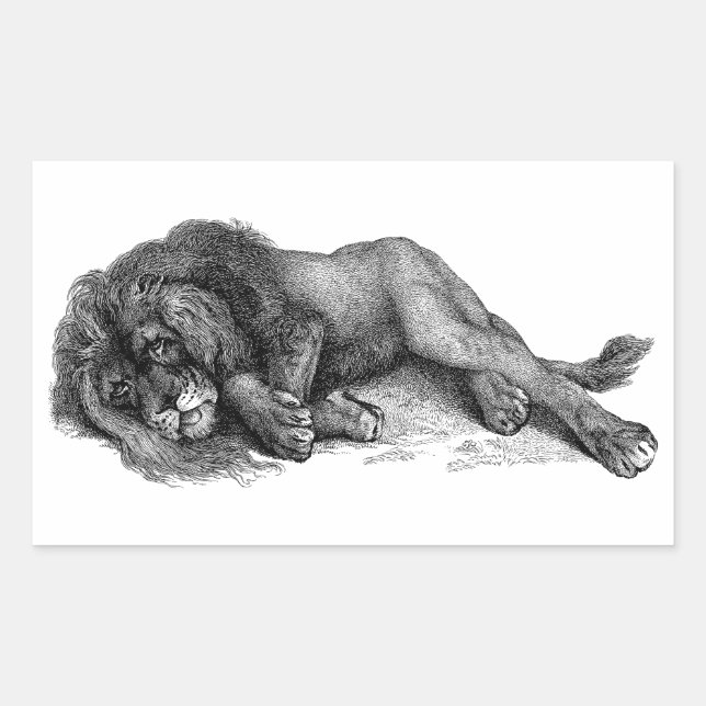 Lion in Vector Mode Rectangular Sticker (Front)