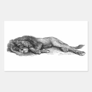 Lion in Vector Mode Rectangular Sticker