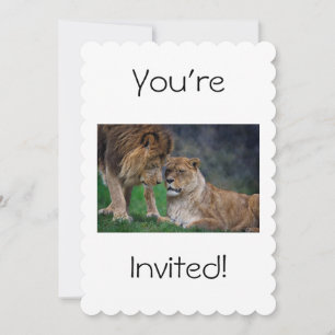 Lion Invitation