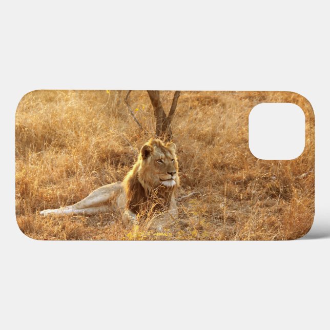 Lion iPhone 13 Case (Back (Horizontal))