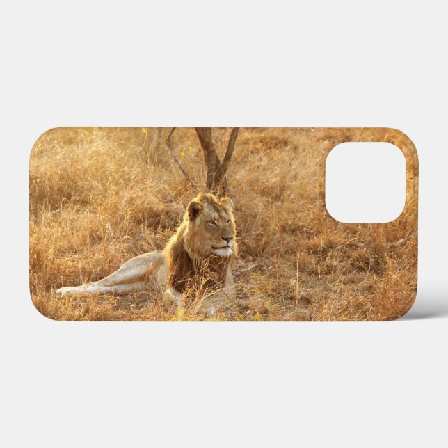 Lion iPhone 13 Mini Case (Back (Horizontal))