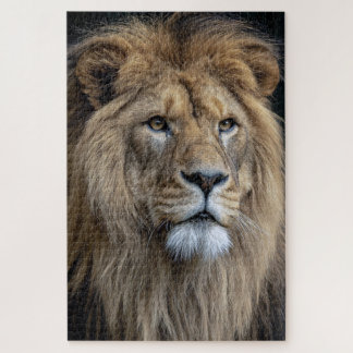 Lion Jigsaw Puzzle