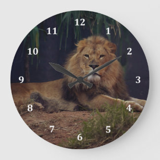 Lion Keeping Watch Over His Pride Large Clock