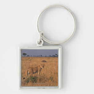 Lion Key Ring