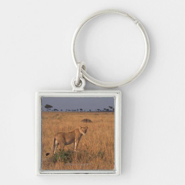 Lion Key Ring (Front)