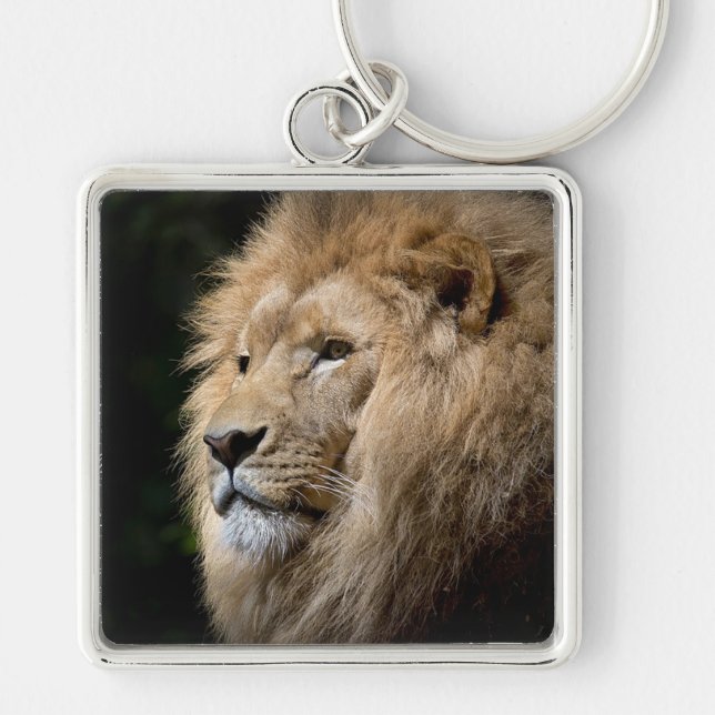 Lion Key Ring (Front)