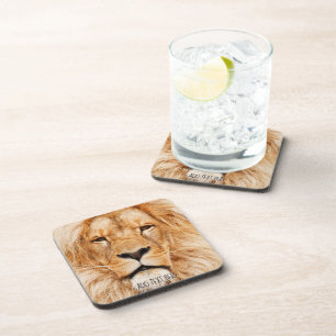 Lion, King of Africa Coaster