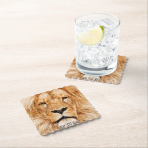 Lion, king of Africa Paper Coaster