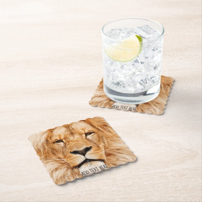 Lion, king of Africa Paper Coaster (Insitu)