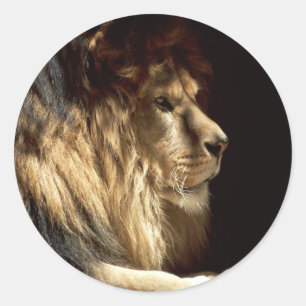 Lion - King of the Jungle Classic Round Sticker