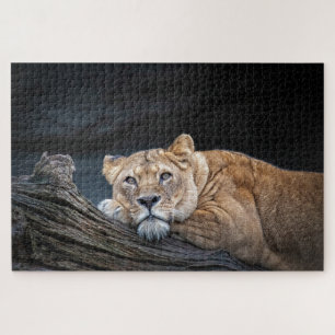 Lion King of the Jungle Jigsaw Puzzle