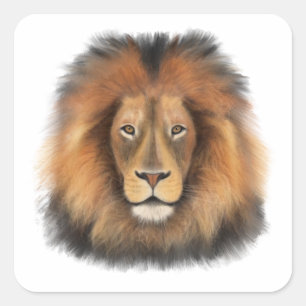 lion king of the jungle realistic male watercolor square sticker