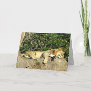 Lion - King of the Jungle - Relaxing Card