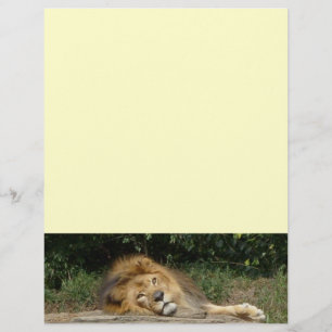 Lion Letter head Paper