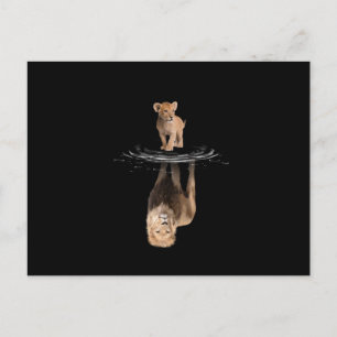 Lion Life Lion Love King Lion Postcard
