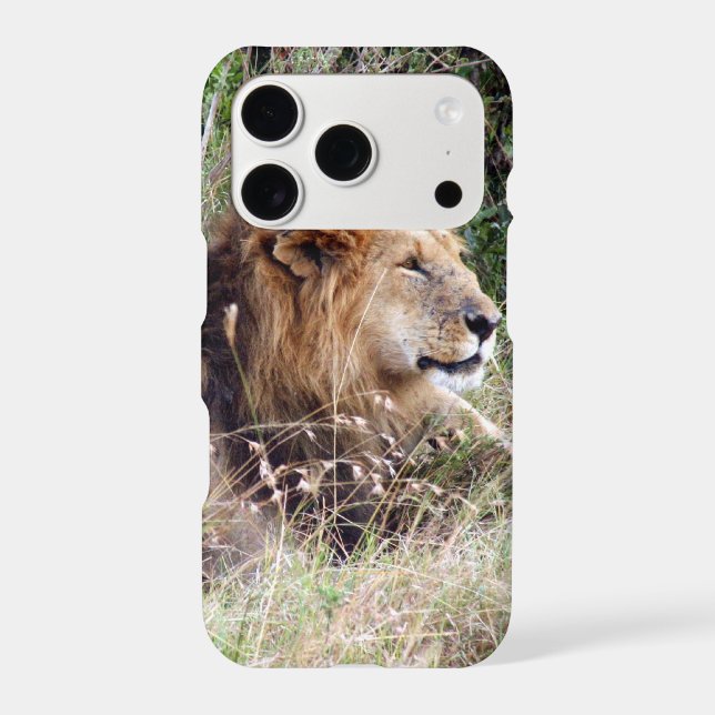 lion looks (Back)