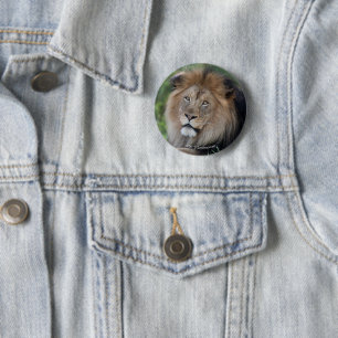 Lion Lounging in a Forest 6 Cm Round Badge