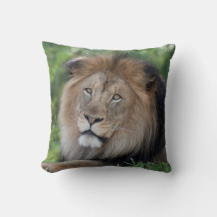 Lion Lounging in a Forest Cushion