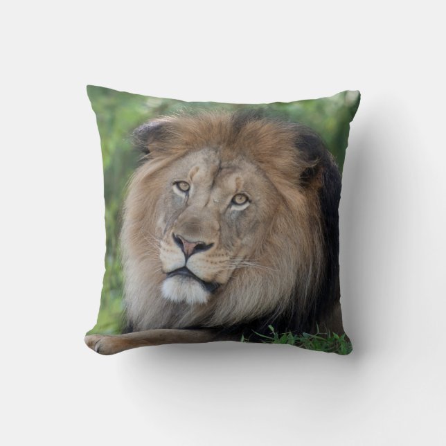 Lion Lounging in a Forest Cushion (Front)