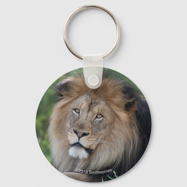 Lion Lounging in a Forest Key Ring (Front)