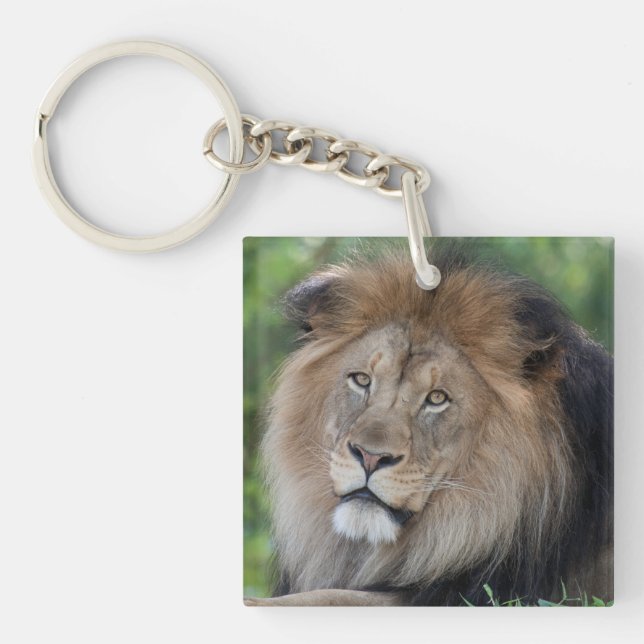 Lion Lounging in a Forest Key Ring (Front)