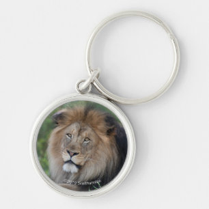 Lion Lounging in a Forest Key Ring