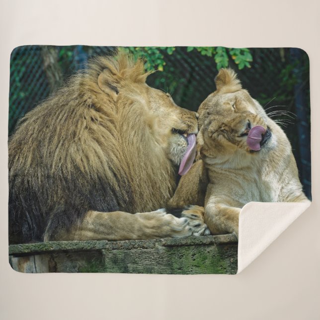 LION LOVE SHERPA BLANKET (Front (Horizontal))