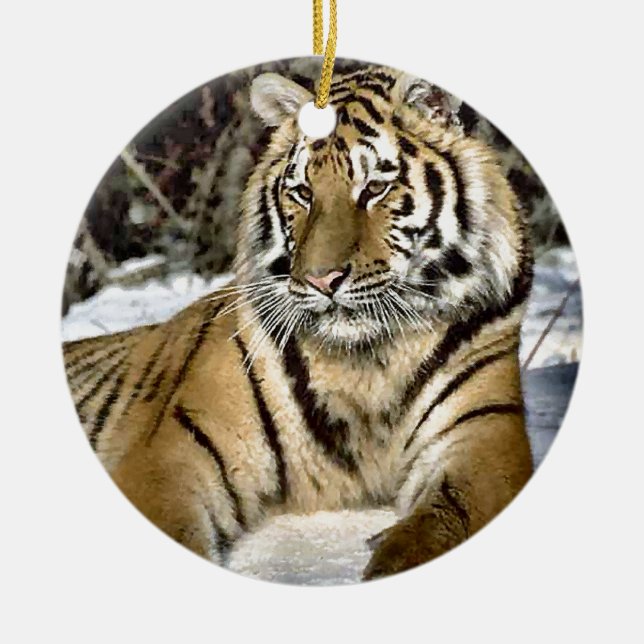 Lion Lovers Art Ceramic Tree Decoration (Front)