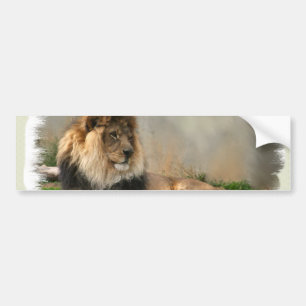 Lion Lovers Art Gifts Bumper Sticker