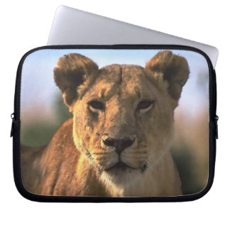 Lion Lovers Female Lioness Laptop Sleeve