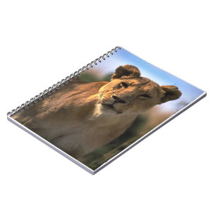 Lion Lovers Female Lioness Notebook