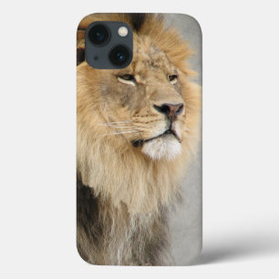 Lion Lovers King of the Jungle iPhone 13 Case