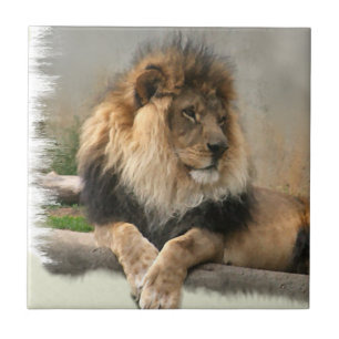 Lion Lovers King of the Jungle Ceramic Tile
