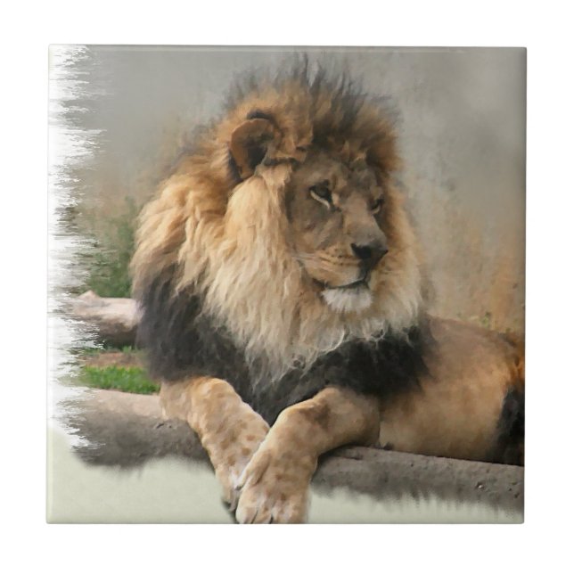 Lion Lovers King of the Jungle Ceramic Tile (Front)