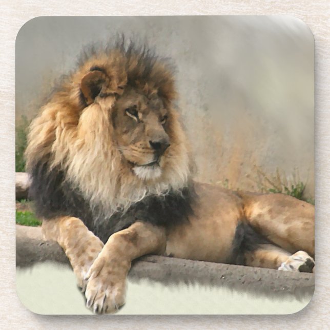 Lion Lovers King of the Jungle Coaster (Front)